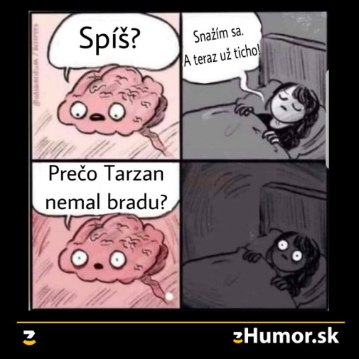 Nočné rozmýšľance